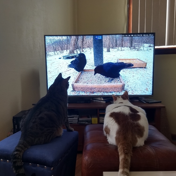 100k THANK YOU FRIENDS - Picture 6 of 14